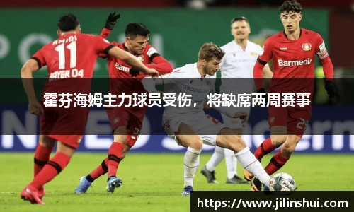 霍芬海姆主力球员受伤，将缺席两周赛事